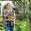 DoCred Tall Garden Arch Trellis for Climbing Plants, 79in Tall Metal Plant Support Trellis Archway for Climbing Vine - 3 of 4