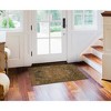 Liora Manne Esencia Traditional Indoor/Outdoor Mat.. - 2 of 4