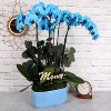 Green Circle Growers 10" Blue Watercolor Orchid Houseplant Blue Planter - 3 of 4