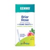 Briar Rose, Young Shoots by Boiron Herbal Supplement  -  2 fl oz(60 ml) Liquid - 2 of 4