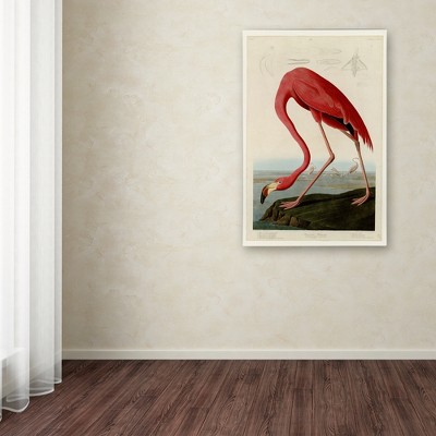 Large Pink Flamingo Canvas Art Print