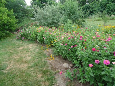 Guest review image 1 of 6, zoom in