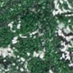 green/ivory