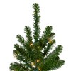 Northlight 7.5' Prelit Artificial Christmas Tree Canadian Pine Pencil - Clear Lights - 2 of 4