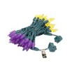 Novelty Lights C6 LED Christmas String Lights 70 Strawberry Bulbs (Green Wire, 24 Feet) - 3 of 4
