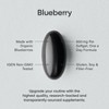 Sports Research Blueberry Concentrate, 800 mg, Dietary Supplements, 60 Softgels - 3 of 4