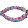 Country Brook Petz Premium Dog Collar - Spring Collection - 3 of 4