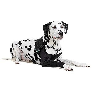 Suitical Recovery Single Sleeve for Dogs - Chest Circumference, Black - 1 of 4