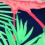 flamingo frenzy