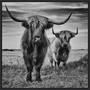 Amanti Art Highland Cow Couple by Stephane Pecqueux Canvas Wall Art Print Framed 22 x 22-in. - 1 of 4