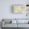 Trademark Fine Art -Danhui Nai 'Dogwood In Spring Neutral Crop' Canvas Art - 2 of 4