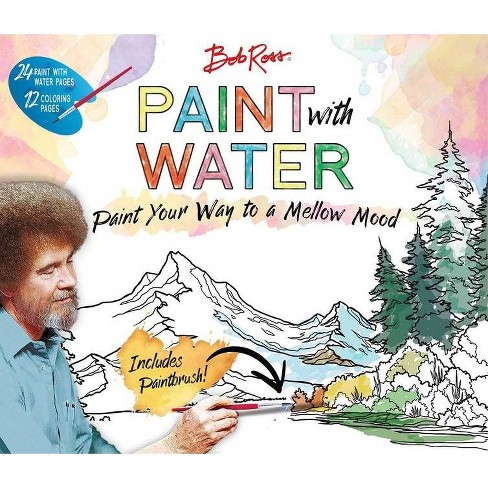 Download Bob Ross Paint With Water Paperback Target