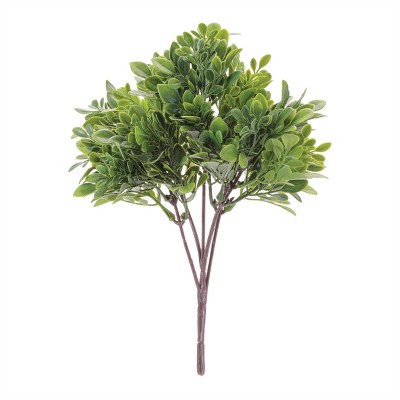 Boxwood Foliage Bush (Set of 6)
