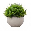 GlasFlength Artificial Plants Small Fake Plants Artificial Grass Plants Faux Plants for Indoor Home Table Decoration, Green, 5"*5"*5" - 4 of 4
