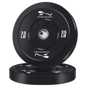 2-Inch Weight Plates Set, Bumper Plates With Steel Insert for Strength Training, Rubber Weight Plates for Barbell Home Gym - 1 of 4