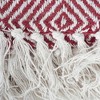 50"x60" X Diamond Geometric Throw Blanket - Design Imports - 3 of 4
