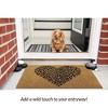 Evideco French Home Goods Sheltered Coir Doormat 30x18 Inch - 2 of 4