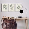 Stupell Industries Green Botanical Latin Study, 16" x 20" - 3 of 4