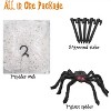 MOVSSOU Giant Halloween Spider Set 78.7in with 16.4ft Giant Web - 3 of 4