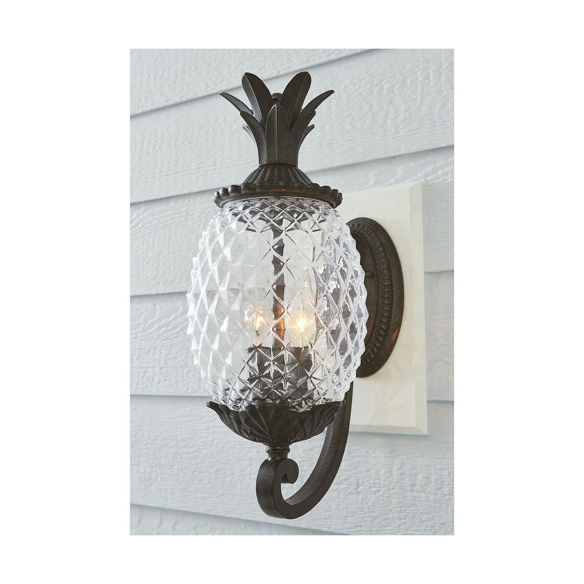 Acclaim Lighting Lanai 2 - Light Wall Light in Black Coral - thumbnail 2