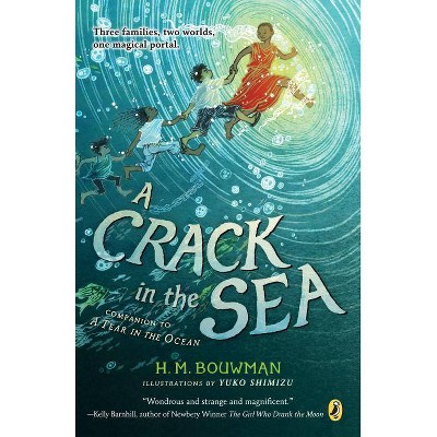 A Crack in the Sea - by  H M Bouwman (Paperback)