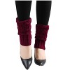 INSPIRE CHIC Women's Knitted Solid Color Warm Knee High Length Ribbed Leg Warmers - 2 of 4