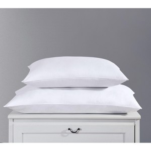Down Home | Two Pack SpringLoft Pillow Jumbo - 1 of 4