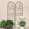 Hrinhom 2-Panel Metal Garden Trellis，Arched Plant Support，Decorative Fence - 4 of 4