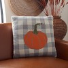 Fall Pumpkin Pillow - Light Grey/Natural/Orange/Sage - 20"x20'' - Safavieh - 2 of 4