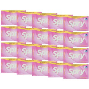 Spry Natural Bubblegum Sugar-Free Gum - Case of 20/10 ct - 1 of 4