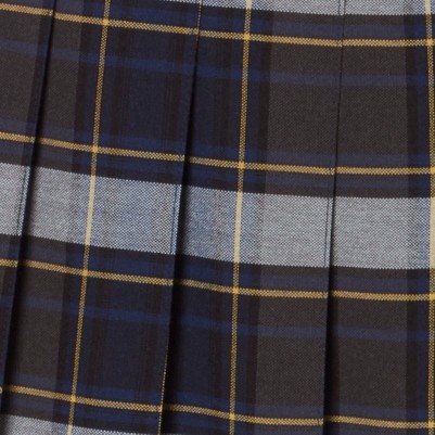 blue gold plaid