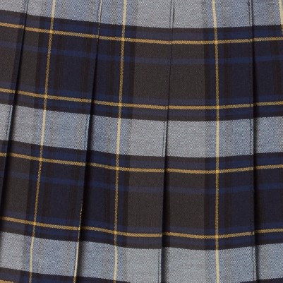 blue gold plaid
