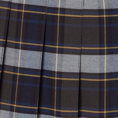 blue gold plaid