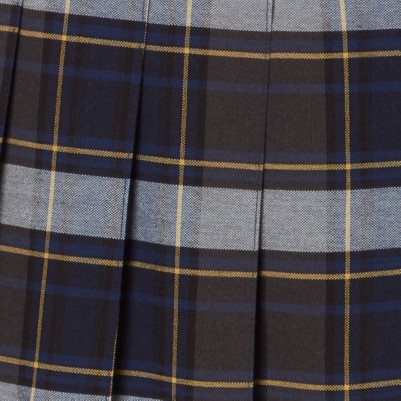 blue gold plaid