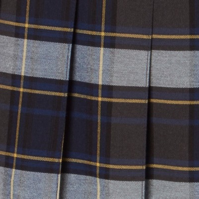 blue gold plaid