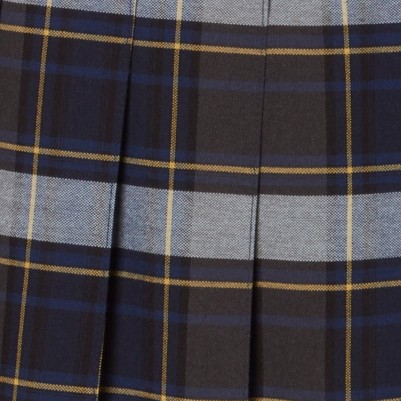 blue gold plaid