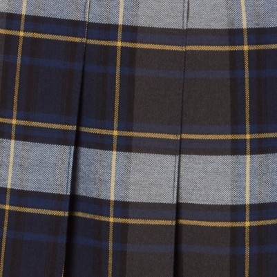 blue gold plaid