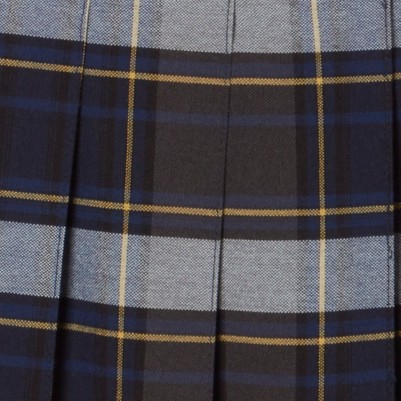 blue gold plaid