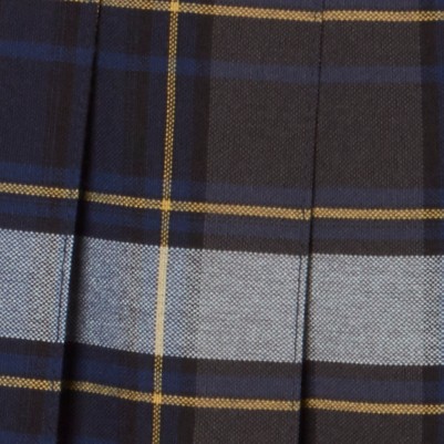 blue gold plaid