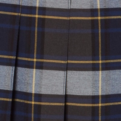 blue gold plaid