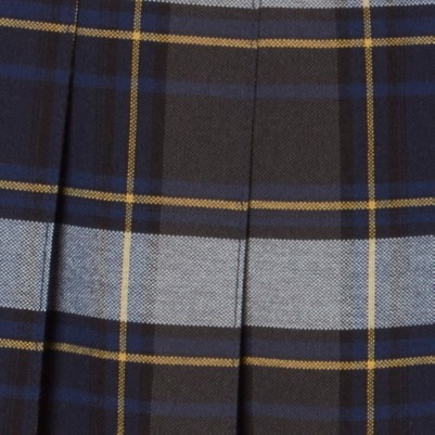 blue gold plaid