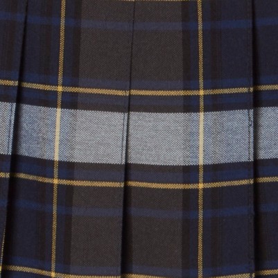 blue gold plaid
