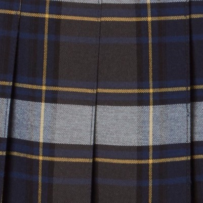 blue gold plaid