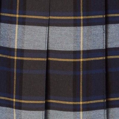 blue gold plaid