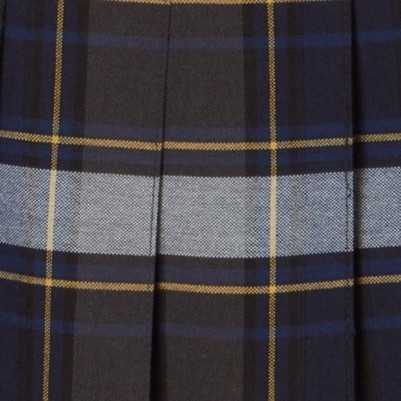 blue gold plaid