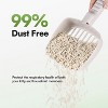 Allforpaws Natural Tofu Cat Litter with Strong Odor Control, 4.5kg (2 X 2.25kg) - 2 of 4