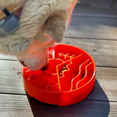 Green Outdoor Design Slow Feeder Dog Bowl