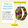 Country Brook Petz HossFit Jr Wide Martingale Dog Collar - Groovy Collection - 2 of 4