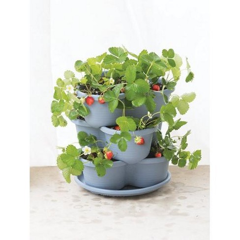 Stacking Self-Watering Strawberry Pot - Gardener's Supply ...