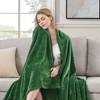 Inhand Flannel Throw Blanket, 50”x60” Super Soft Fuzzy Blanket for Couch Sofa Bed Office, Cozy Plush Lightweight Blanket Throw Size - 2 of 4